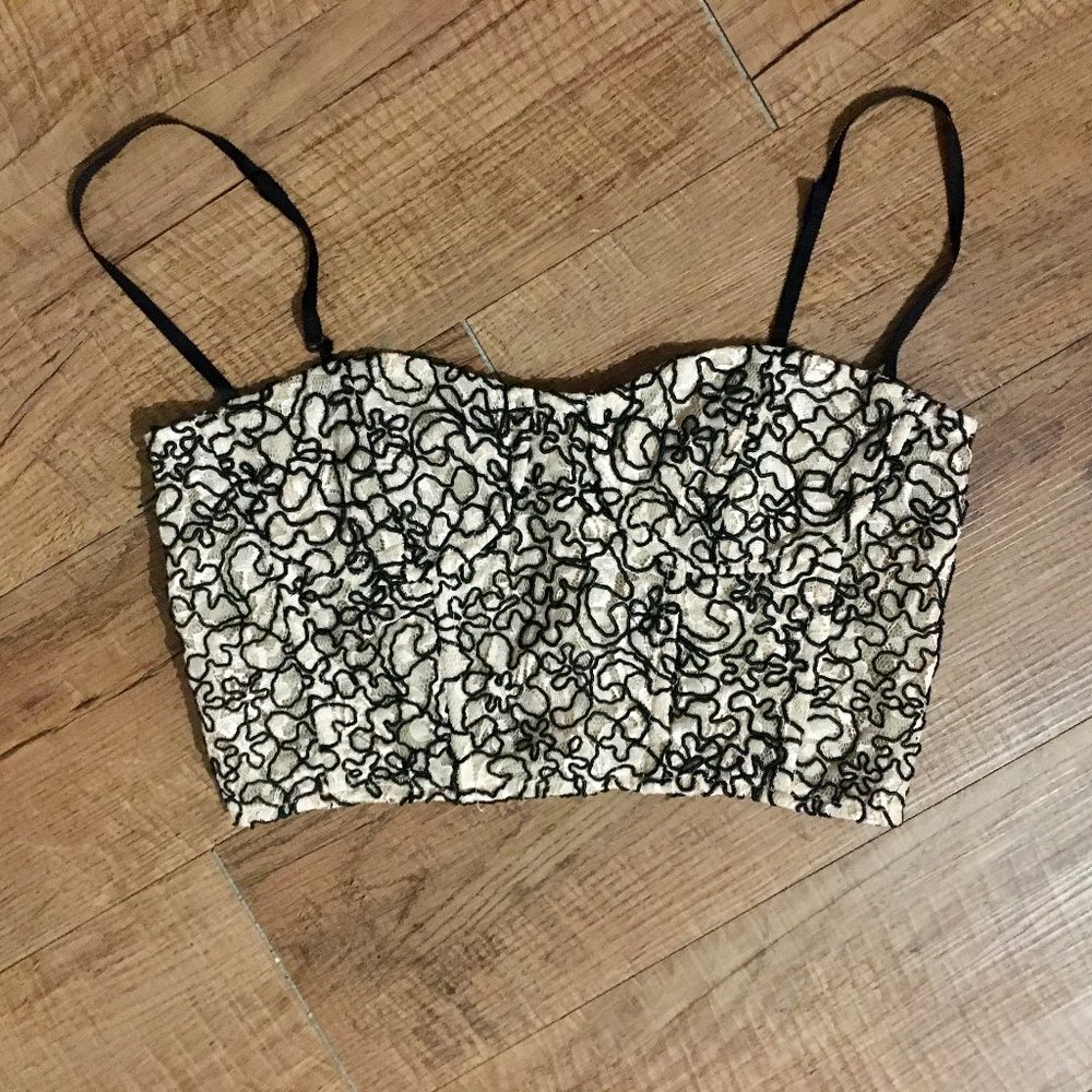 Milly Karissa Lace Bustier in Ballet Size 2